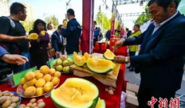 吃瓜最新事件爆料广西,揭秘事件背后惊人真相！”